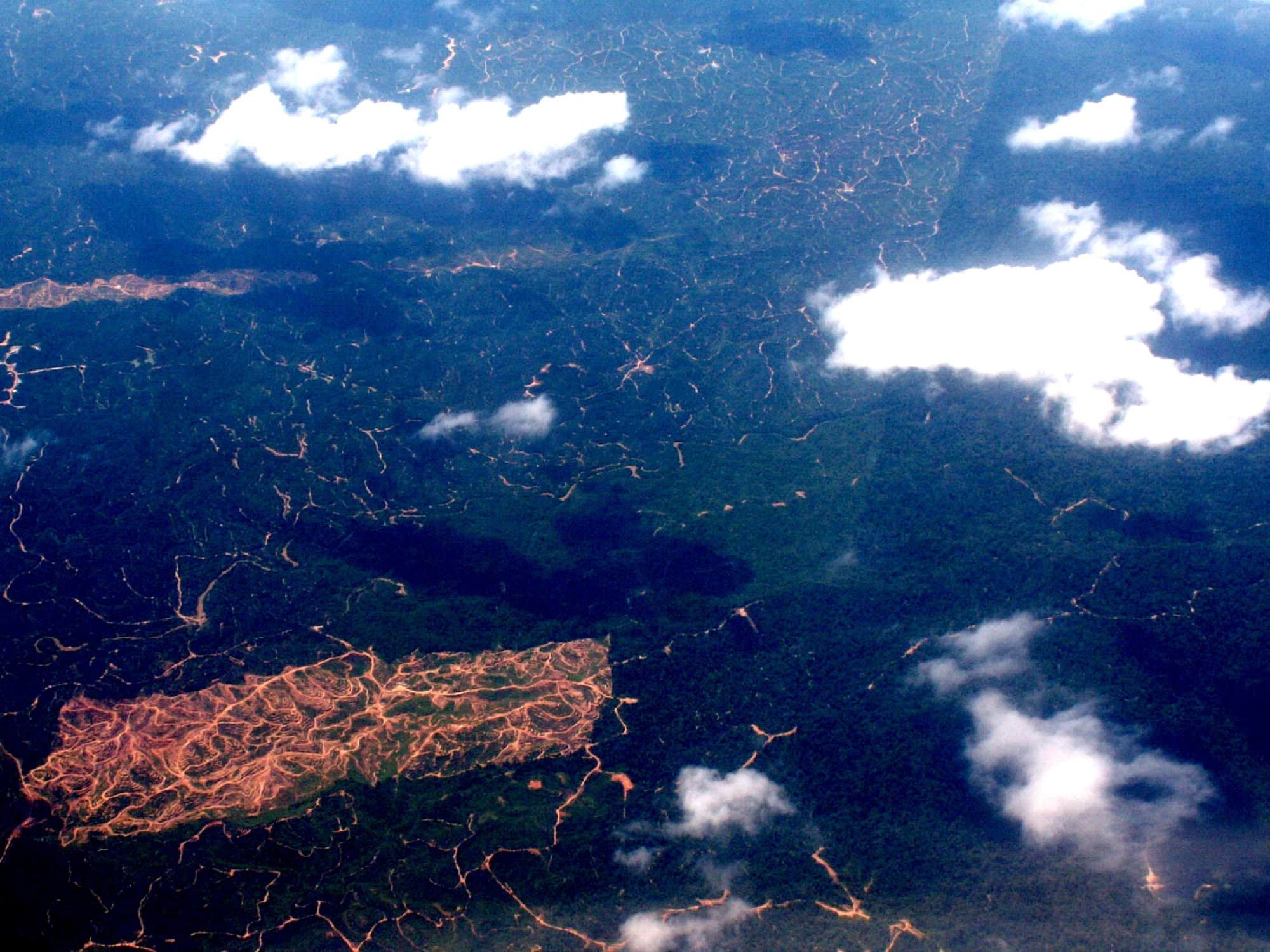 Aerial view over Borneo showing oil palm plantation blocks cut into rainforest, with cleared orange ground exposed among the canopy.